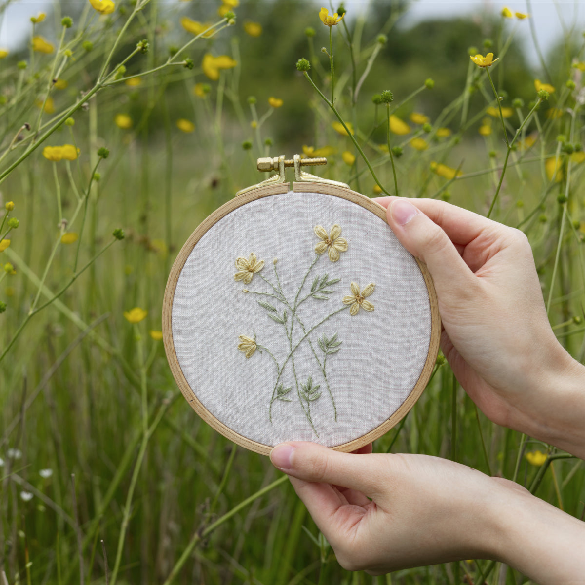 Buttercups
