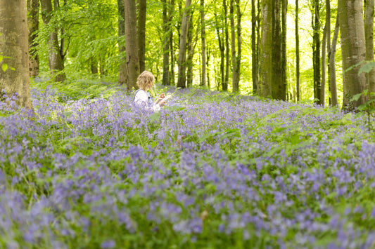 Wild Irish Flora Collection