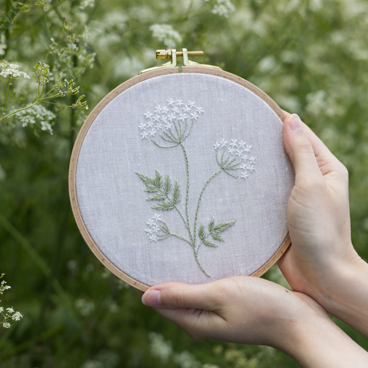 Cow's Parsley