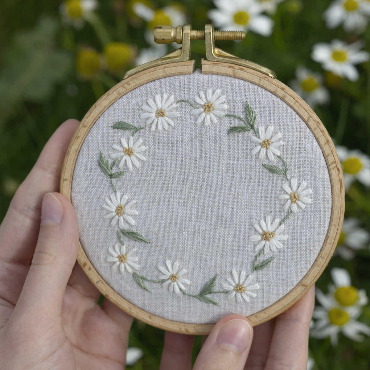 Daisies